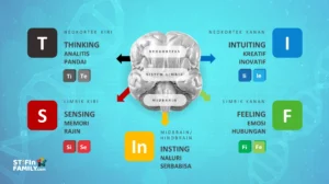 Mengenal 9 Personaliti Genetik STIFIn