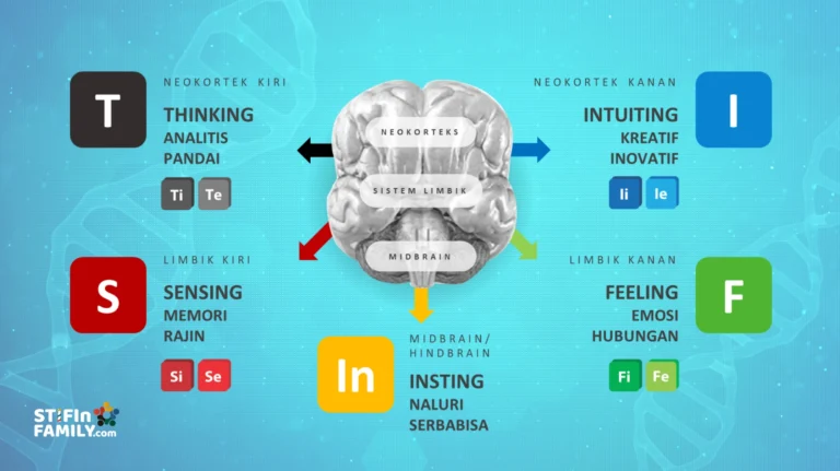 Mengenal 9 Personaliti Genetik STIFIn