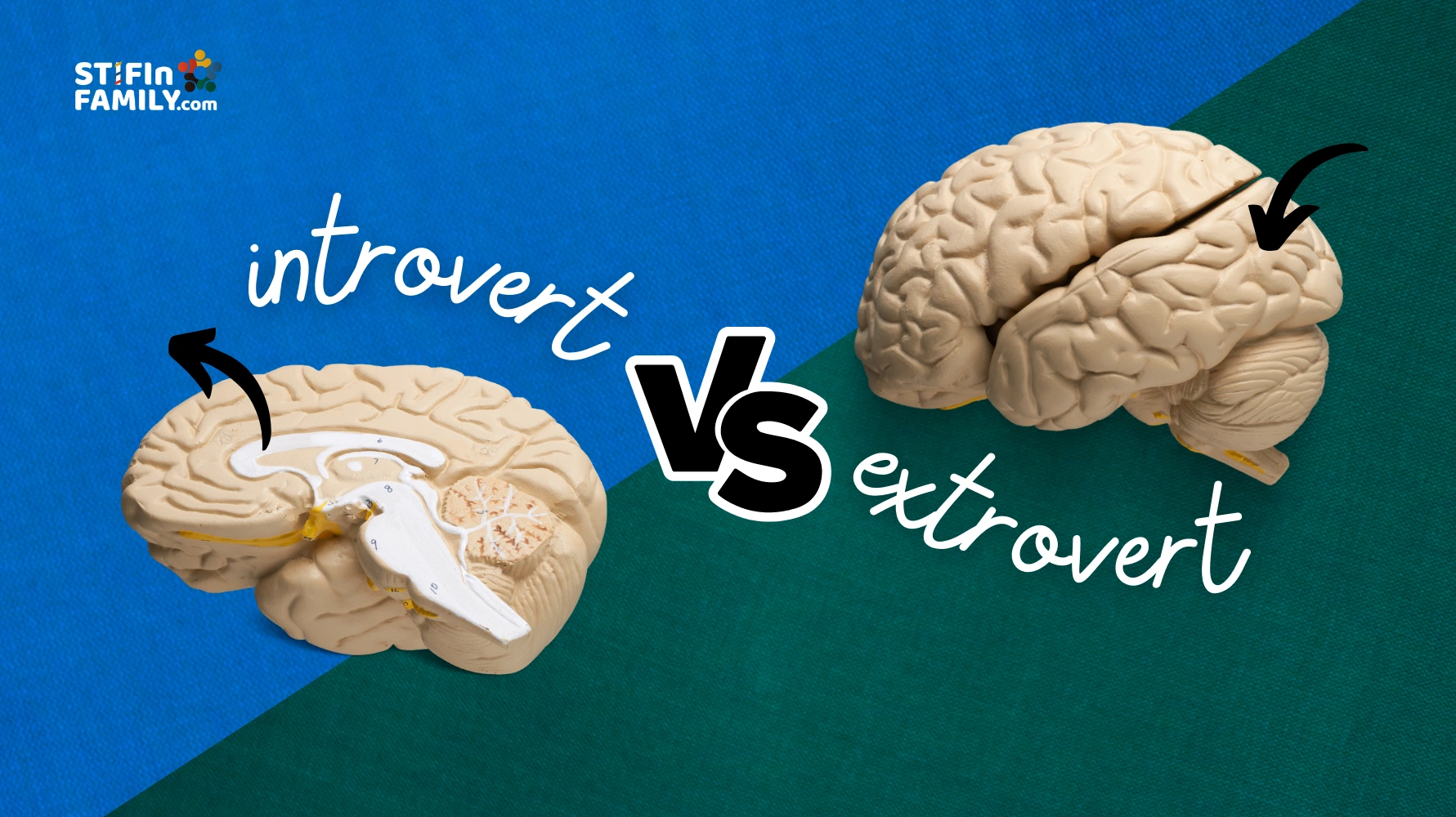 Perbedaan introvert dan ekstrovert STIFIn