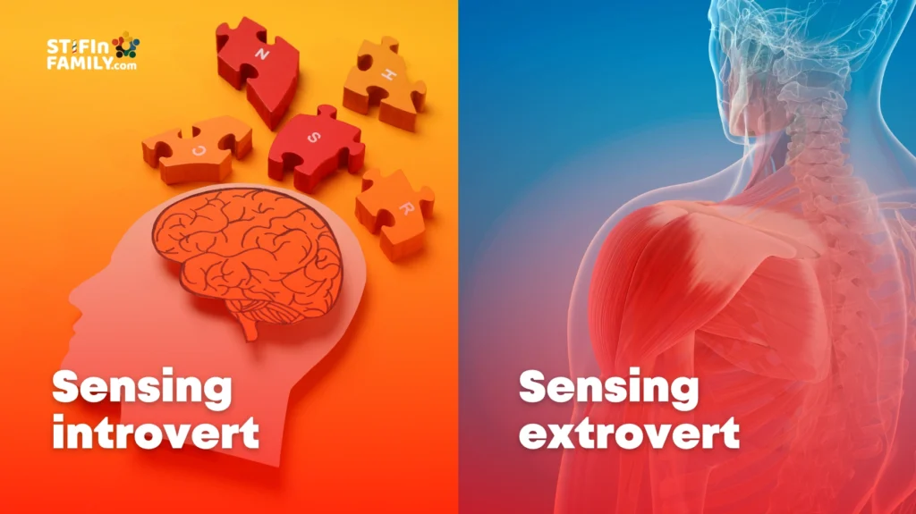 Mengenal 9 Personaliti Genetik STIFIn Sensing