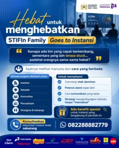 stifin corporate